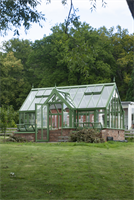 Centifolia greenhouse in the green (kopia)