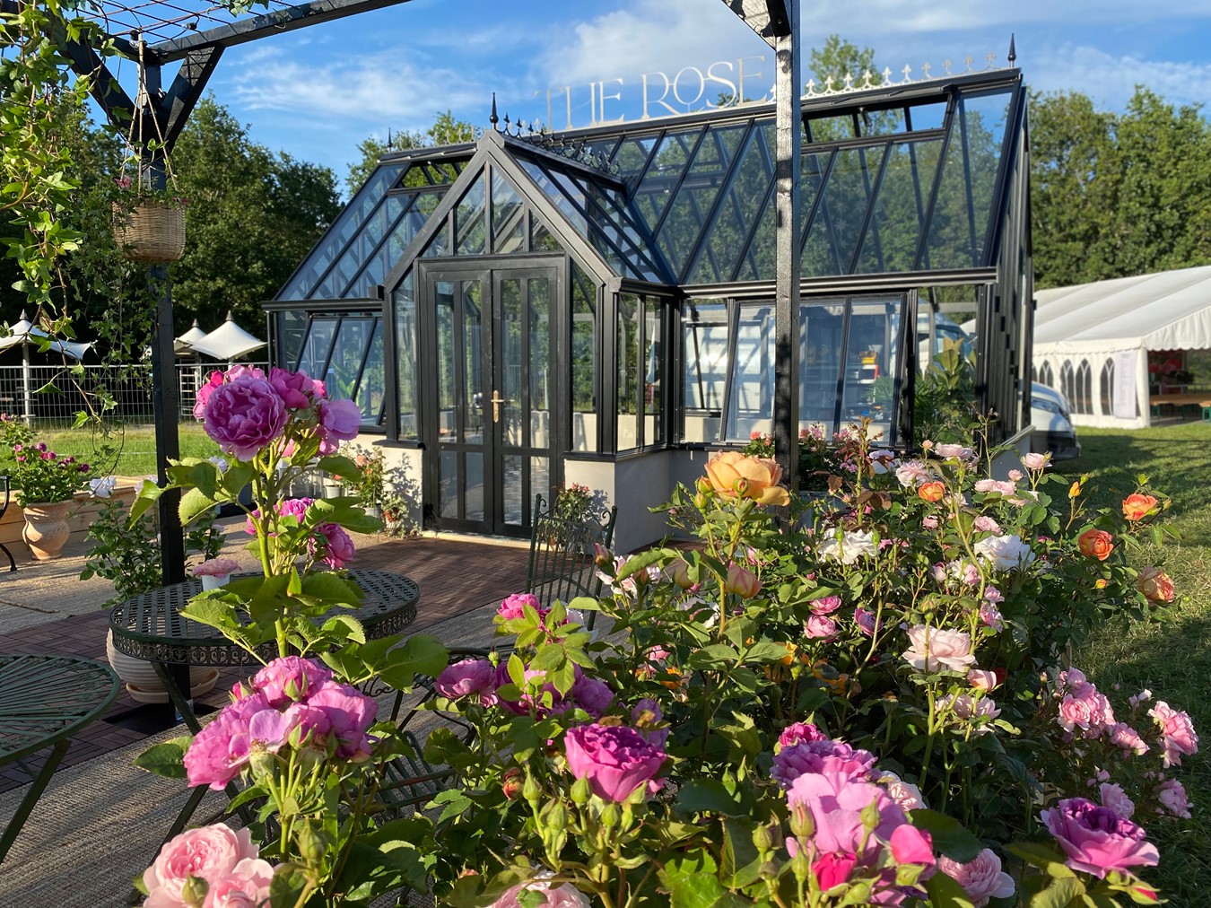 The rose greenhouse collection_Rugosa